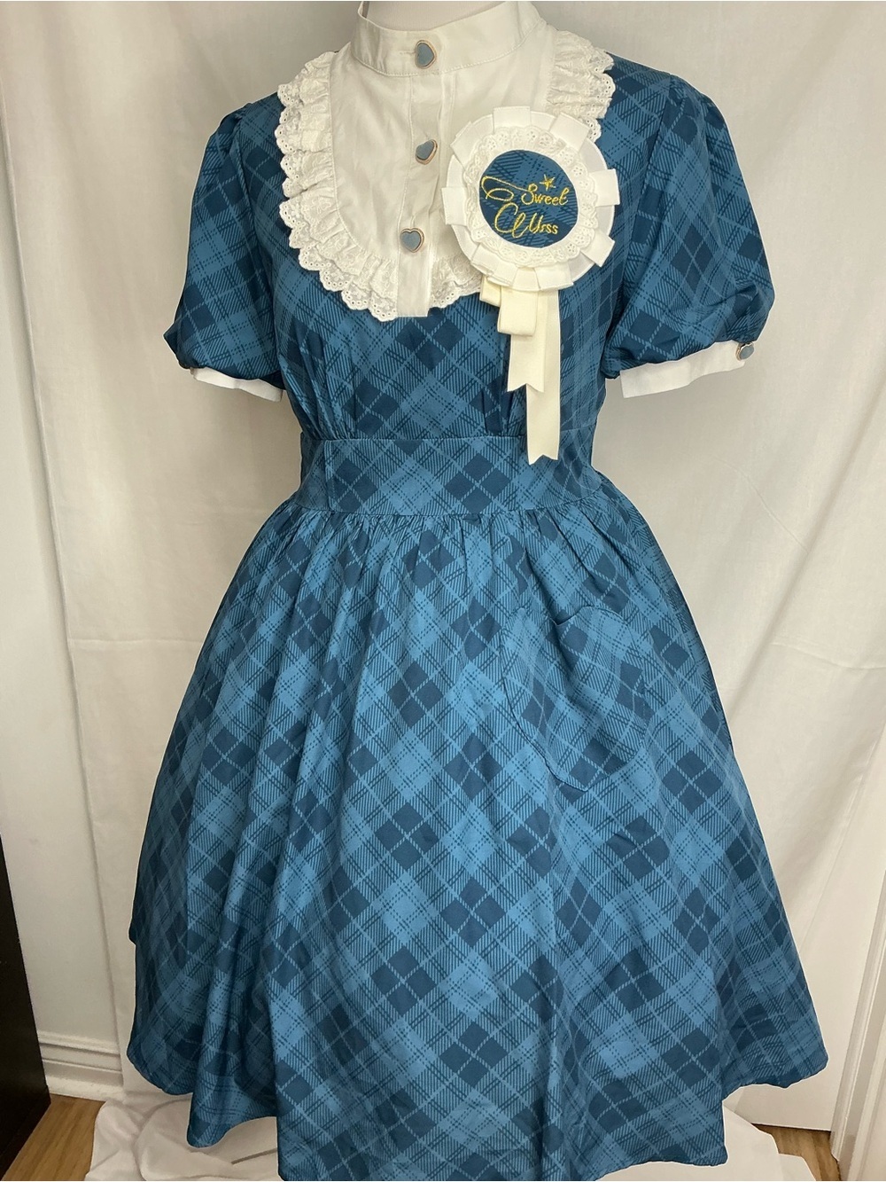 2186 - Blue Plaid Vintage Dress with White Lace Collar (Crinoline Not included) - Picture 2 of 12